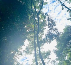 小３　8歳　娘の毎日　このまま伸び伸び明るく育ってね