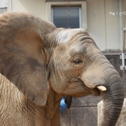 仲良し姉妹の朝のスキンシップ
