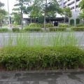 20250719久しぶり香椎浜界隈〜浜辺を散策！