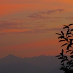 里山里海だより
