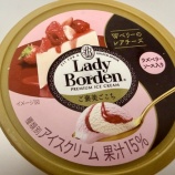 『🍨 万年ダイエッターBBAの嘆き〜深夜のレディボーデンに人生狂わされかけてる話〜』の画像