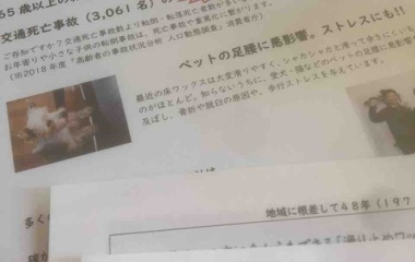 『65歳以上の転倒死亡事故と交通死亡事故の比較』の画像