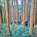 山行報告   安 蔵 寺 山 登 山（島根県）