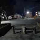 朝散歩 百北公園