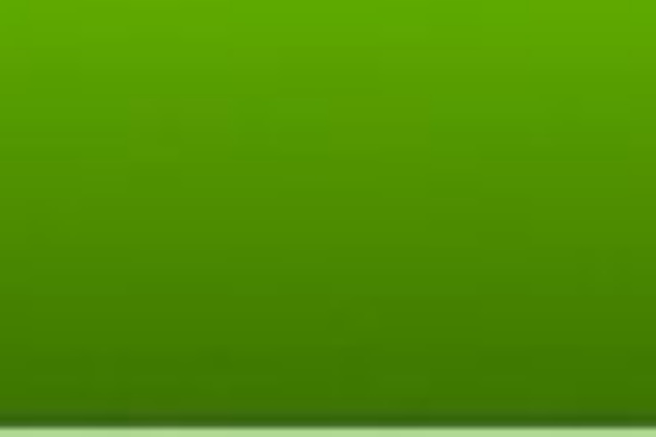 Level Hell フォールアウト Nv