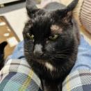 Yさんのお当番日記『運動不足を解消せよ』。