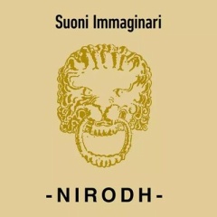 ●新品LP● AGOSTINO NIRODH FORTINI / SUONI IMMAGINARI : ブライアン・イーノや、ジョン・ハッセル諸作品に通ずる魅力! 伊ミュージック・セラピスト 88年作!!