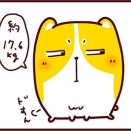 柔道界隈ではすごいのかもしれない犬。