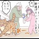 猫に点滴するのって大変なんだけど・・・のまき