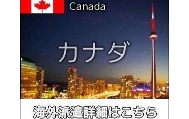『カナダ交際相手ご紹介案件情報』の画像