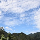 夕立で気温も下がり、夏の暑さは峠越え？