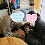 『さくらちゃん幸せトライアル♪』の画像