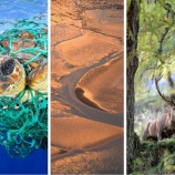 『環境問題に取り組んだキャンペーンが開催中です【オリス】』の画像