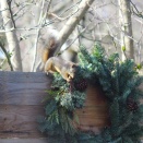 オラオラのチビリスは最強だ！😅😅😅