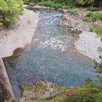 つり吉オヤジの日高川龍神鮎・あまご情報