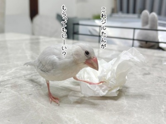 いいんだけど、ちょっと胸が痛む