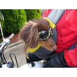 إȥХ繥󥳤ȥġ󥰡٤β