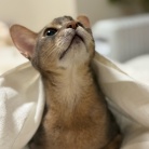 毎日、かわいいを見せつけてくるぼくちん♡