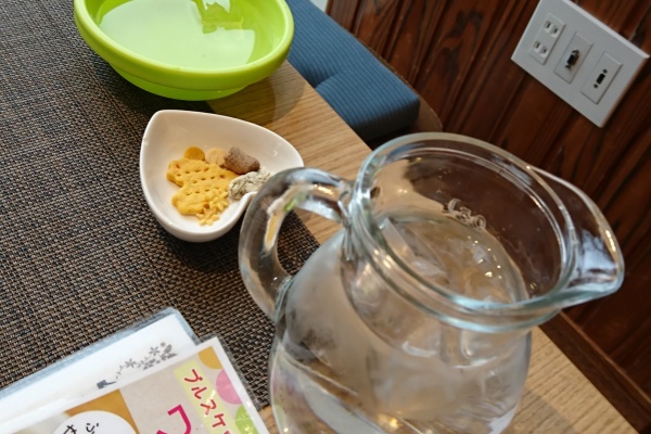 元保護犬 マルチーズとトイプードルの記録 京都ブルスケッタ 元保護犬 マルチーズとトイプードルの記録 京都ブルスケッタ