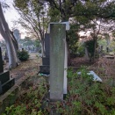 谷中で拓本採取