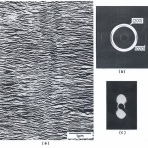 高分子-ミクロの世界-