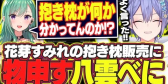 【ぶいすぽ】すみーの抱き枕に物申すべに様「私とやってる事一緒ですからね」