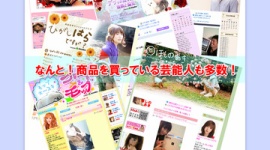 「サイト運営者から30万円もらった」 ペニーオークション詐欺事件で、女性タレントがブログでのサクラ行為を認める