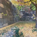 SLE NOTE〜膠原病患者ルッコラのブログ〜