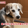 一般的な１日
