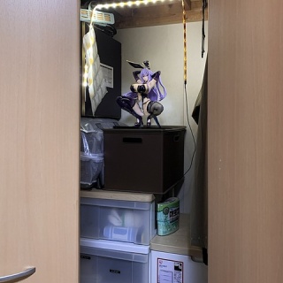 『［画像］おかんにバレないように押し入れにフィギュア飾ってるけど』の画像