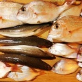 国東の食環境（482）小鯛
