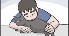 夫のことが好きな猫たち