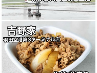 羽田空港国際ターミナル内にある「吉野家 羽田空港第3ターミナル店」に伺い 飛行機見ながらリーズナブルにランチをキメてきました！