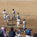 7/13(日)第107回全国高校野球広島大会〝英数学館×市立呉〟戦の観戦(^.-)☆(02)