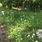 ビジネスピープル共和国