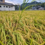 ず～～っと田舎暮らし