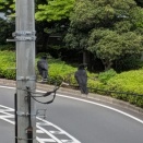 梅雨入り前に何を思う？