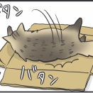 好きなものは自室へ運ぶマロちゃん