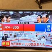 ����γ�ɼ®��Ϥޤ롡����Ĵ���̤�η�̤Ȥʤꡡ�������μ¡פʤ�Ƹ��äƤ����ʡ�