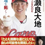 『きれいな球筋のストレートのような、エピソード』の画像