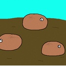 Ｇ240　ニセマンジュウナメク