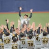 阪神タイガース、38年ぶり2度目の日本一！岡田監督が古巣との関西シリーズ4勝3敗で制す