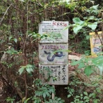 マラソンと右脳生活