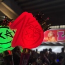 LiSA 【LiVE is Smile Always〜15〜】 ＠日本武道館2days🧅🧅