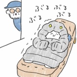 『「孤独」に憧れる居候』の画像