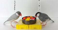 おでん屋さんオープンに向けて