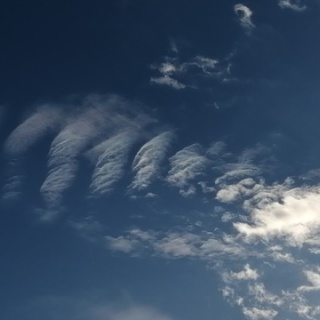 ちょっと幸せ、ずーっと幸せ