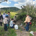 蜜切り見学会
