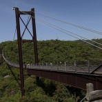 STAFF上田の日記