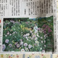 上毛新聞掲載されました！